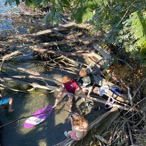 Meet your Posher, Jasper